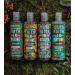 Faith In Nature Natural Coconut Body Wash Hydrating Vegan and Cruelty Free No SLS or Parabens 400 ml Coconut 400 ml (Pack of 1) - Buy Online on GoSupps.com
