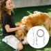 Intestinal Piral Peg with Dog Leash - 15 Inch Stakes for Small to Medium Dogs | 3M Tie-Out Linen & Stainless Steel Floor Anchor for Courtyard & Camping - Buy Online on GoSupps.com