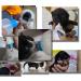 Pet Bottle Kit - Silicone Teat for Newborn Kittens, Puppies, Rabbits - Replacement Teat for Small Animals - Cat Feeding Tool - Buy Online on GoSupps.com