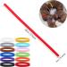 Molain 12-Piece Adjustable Puppy & Kitten Neck Bands | ID Straps for Small Pets | Lightweight & Durable Design - Buy Online on GoSupps.com