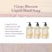 A LA MAISON Citrus Blossom Liquid Hand Soap - Triple French Milled Moisturizing Soap 16.9 oz (Pack of 3) - Buy Online on GoSupps.com