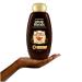 Garnier Whole Blends Ginger Recovery Strengthening Shampoo - 22 Fl Oz - Buy Online on GoSupps.com