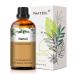 PHATOIL Neroli Essential Oil 30ML Premium Grade Pure Essential Oils for Diffusers for Home Perfect for Aromatherapy Diffuser Humidifier Candle Making Neroli 30.00 ml (Pack of 1)