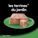 Cesar Barquettes Les Terrines du Jardin Wet food for dogs Meat with vegetables Pack of 16 trays x 300 g - Buy Online on GoSupps.com