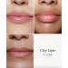 City Beauty Day & Night Lip Plumping Duo - City Lips Clear 0.16 fl oz + City Lips Night Oil 0.23 fl oz Advanced Hydration & Anti-Aging Formula: Fuller Smoother Younger-Looking Lips - Buy Online on GoSupps.com