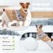Idepet Winter Dog Sweater - Warm Pullover Clothing for Small to XL Dogs & Cats - Cozy Pet Costume in Yellow - Buy Online on GoSupps.com