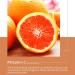 Vitamin C Serum for Face & Eye Vitamin C Face Serum Brightening Face Serum for Women Boosts Collagen Anti Aging Facial Serum to Reduce Dark Spots and Wrinkles - Buy Online on GoSupps.com