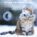 Reflective Airtag Cat Collar with Bell | Waterproof Holder | Breakaway Safety Buckle | 3/8 Width | Compatible with Apple Airtag - Blue - Buy Online on GoSupps.com