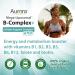 Aurora Nutrascience Mega-Liposomal B-Complex+ | Organic Fruit 16 fl oz - Superior Absorption - Buy Online on GoSupps.com