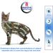 Fipukin Natural Flea & Tick Collar for Cats - Waterproof, Safe, One Size Fits All - 2-Pack with Free Comb & Tick Removal Tool - Supports Charity - Buy Online on GoSupps.com