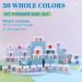 Lavender Violets 36 Colors Dip Nails Powder Starter Kit - Acrylic Dipping Nail Powder Set for Beginners and Professionals - Dip Manicure DIY - M957 - Buy Online on GoSupps.com