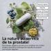 Saw Palmetto Prostate et Confort Urinaire Palmier Nain G lules 700mg par dose Pi Life 2/Jour Avec Pygeum Africanum et Myrtille Antioxydant 180 G lules Health Man 180 unit (Lot de 1) - Buy Online on GoSupps.com