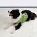 Spring Summer Dog Shirt - Light Vest for Puppies | Dwarf Prints | Party-Ready T-Shirt (Large Blue/Green) - Buy Online on GoSupps.com