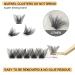 Buy Fluffy D Curl 12mm Individual Eyelashes - Natural Matte Mega D Eyelash Segments for DIY Extensions - Buy Online on GoSupps.com