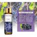 Purify Your Space with PHATOIL Grape Fragrance Oil - 10ml for Aromatherapy, Soap & Candle Making - Buy Online on GoSupps.com