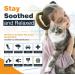Calming Collar for Cats - 3 Pack Pheromone Calm Collar for Anxiety Relief - Long-Lasting 30 Days - Adjustable Breakaway Design - Gray - Buy Online on GoSupps.com