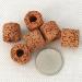 Shenrongtong Aquarium Plant Weights - 80 Solid Rings for Aquatic Plants | Anti-Swimming Flower Pot Holders & Aquarium Accessories - Buy Online on GoSupps.com