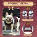 Warm Cartoon Dog Sweater for Christmas - Eisb r Pet Pullover with Christmas Tree Design | Winter Knitwear for Dogs - Buy Online on GoSupps.com