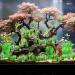 Buy Ctpeng 57-Piece Artificial Fish Tank Plants Decor Set | 2-30cm | Perfect for Aquarium Decoration - Buy Online on GoSupps.com