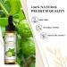 Buy EUQEE Pure Bergamot Essential Oil 10ml - Ideal for Diffusers Humidifiers Candle Making & DIY Soap - International Shipping Available - Buy Online on GoSupps.com
