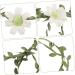 Didiseaon bridal hair accessories daisy garland flower crowns fairy crowns for women flower headband leaf crowns for women headband for women Straw artificial flower bride decorations - Buy Online on GoSupps.com