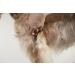 Buy Andis 6.5 Thinning Shears for Professional Dog & Cat Grooming | Right-Handed Grooming Shears (80645) - International Shipping Available - Buy Online on GoSupps.com
