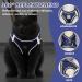 Adjustable Cat Dishes Set with Leash - Soft Lining & Breathable Mesh for Cats Kittens Dogs & Puppies (Navy Blue Size S) - International Shipping Available - Buy Online on GoSupps.com