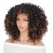 Afro Curly Wig with Bangs - Dark Brown Shoulder Length Synthetic Kinky Curly Wig for Black Women - Buy Online on GoSupps.com