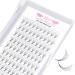 Premade Fans Eyelash Extensions 5D-C-0.10-10 Premade Volume Lash Extensions Pointed Base Fans 0.10 Premade Volume Fans C D Curl(5D-C-0.10 10 mm) 10 mm 5D-C-0.10