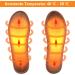 Buy Heated Insoles & USB Foot Warmers - Washable Heating Pillows for Men & Women 43-44 | Best Electric Foot Warmers - Buy Online on GoSupps.com