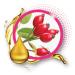 KISS Broadway Clear Lip Gloss 0.47oz/14ml 12Pcs with Rosehip Oil - Moisturizing Shine for Lips - Buy Online on GoSupps.com