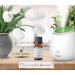 Peaceful Home Essential Oil - House Blessing & Purification | 100% Organic | Crystal-Infused | Restore Balance & Harmony - 0.33 oz - Buy Online on GoSupps.com