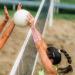 Buy Sosoport Pink Volleyball Wrist Brace - Sports Wrist Protector & Elastic Arm Band for Maximum Support - International Shipping Available - Buy Online on GoSupps.com