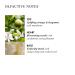 Buy Molton Brown Orange and Bergamot Hand Cream NYD050 - Luxury Hydrating Moisturizer | International Shipping - Buy Online on GoSupps.com