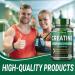 Ultimate Muscle Builder Supplement 12200mg Creatine Monohydrate with L-Arginine, L-Citrulline, Beet Root, Tongkat Ali, Ginseng Boost Energy, Strength & Performance - 90 Count - Buy Online on GoSupps.com