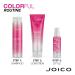 Joico Colorful Anti-Fade Shampoo 10.1 oz - Sulfate-Free Formula with Camellia Oil & Pomegranate Extract for Color-Treated Hair | Preserve Vibrancy & Boost Shine | Reduce Breakage | Long-Lasting Color Protection - Buy Online on GoSupps.com