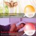 Ghustar Lichtwecker Wake Up Light - Daylight Alarm Clock with Sunrise & Sunset 7 Colors 2 Alarms 7 Natural Sounds FM Radio 20 Brightness Levels Ideal LED Night Light for Adults - Buy Online on GoSupps.com