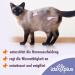 Ida Plus Renal Care Mini Sticks for Cats - Supports Kidney Health & Urine Excretion - 80 pcs - Phosphate & Uremic Toxin Control - Buy Online on GoSupps.com