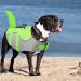 Cit toile Life Jacket for Dogs - Shark Design Safe & Lightweight Water Sports Vest with Handle & Reflective Features | Green XL for Small Medium & Large Dogs - Buy Online on GoSupps.com