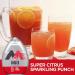 MIO Fruit Punch Concentrate - 1.62 oz - 2 pk by Fenny World Store - Buy Online on GoSupps.com