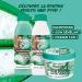 Garnier Fructis Hair Food Soin D m lant Hydratant l'Aloe Vera pour Cheveux Secs 350ml (Lot de 2) - Buy Online on GoSupps.com