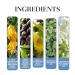 VEFSU For Men 2024 New By For Men Perfume For Men Travel Long Lasting Fragrance10ml (B One Size) 1 Fl Oz (Pack of 1) B - Buy Online on GoSupps.com