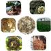 Buy Fresh Sphagnum Moss - 150g Bag for Reptiles & Terrariums | Dried Sphagnum Litter - Buy Online on GoSupps.com