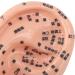 17 cm Ear Acupuncture Model - Essential Tool for Reflexology & Ear Massage Lessons | International Shipping Available - Buy Online on GoSupps.com
