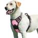 Eagloo dog harness Large dogs anti -train dog harness with reflex strips and control adjustable and adjustable dish Dog large chest harness for labrador pink l l (1 Pack) pink