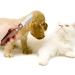 Buy Premium Wooden Handle Dog Trimmers for Dachshunds & Terriers | Pet Care Grooming Tool for Undercoat & Fine Hair - Buy Online on GoSupps.com