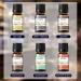 EUQEE 6PCS Men's Fragrance Oils Gift Set - Premium Grade 10ml Scents for Men's Pubs - Leather, Sweet Tobacco, Dragon's Blood, Sandalwood, Bay Rum, Cedarwood - Buy Online on GoSupps.com
