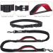 Vivaglory Free-Handed Dog Leash - Dual Anti-Shock Bungee Padded Handles Reflective Waist Running Leash for Medium & Large Dogs - Adjustable 83-147cm - Black/Red - Buy Online on GoSupps.com