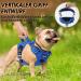 Buy Eyin Adjustable Dog Harness for Large Dogs - Breathable Reflective Padded and Adjustable - Perfect for Daily Training - Light Blue XL - Buy Online on GoSupps.com