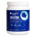 LEANFIT SPORT CREATINE MONOHYDRATE Powder Unflavoured - Creatine Supplement for Increased Muscle Mass Enhanced Energy & Improved Performance - Informed Choice Certified Micronized & Pharmaceutical Grade Creatine Gluten-Free Vegan - 5g Creatine Per Serving